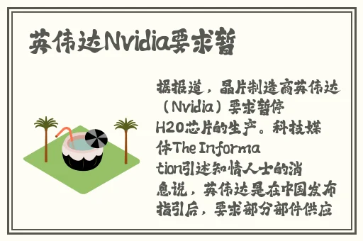 国产精品**一区二区小说