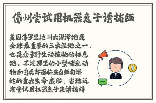 b站推广网站2024下载